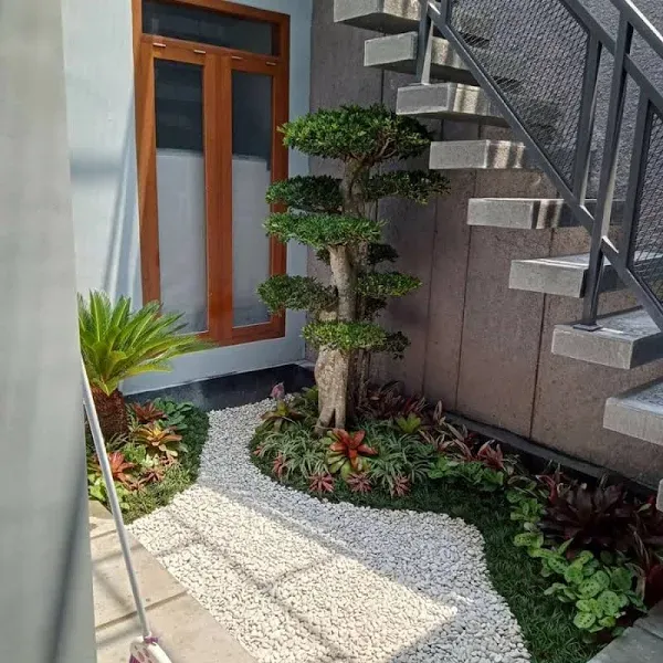 Jasa Tukang Taman Kering Rooftop - Dry Garden Terbaik